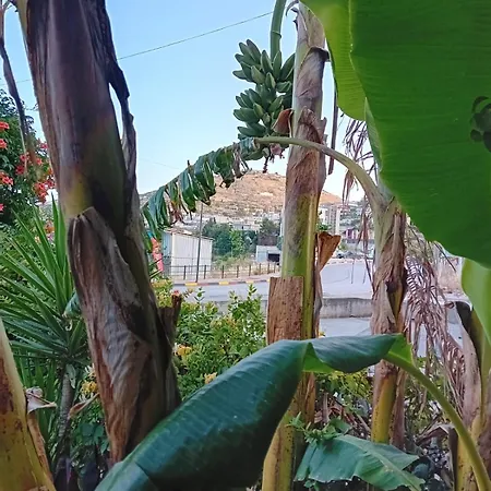 Allkushi Maison d'hôtes Saranda