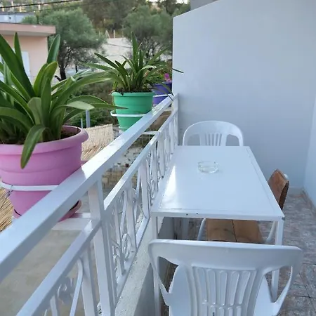 Guest house Allkushi *