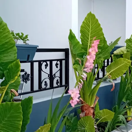 Allkushi Гостевой дом Саранда