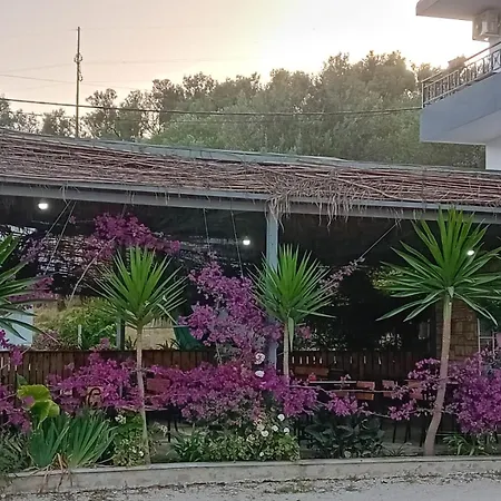 Allkushi Guest house *